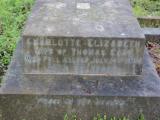 image of grave number 391535